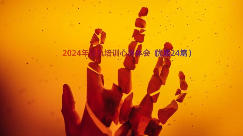 2024年城轨培训心得体会（优质24篇）