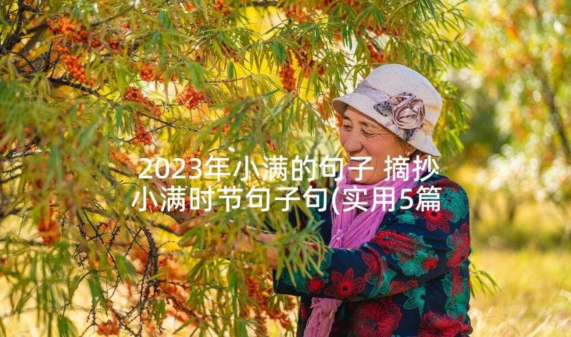 2023年小满的句子 摘抄小满时节句子句(实用5篇)