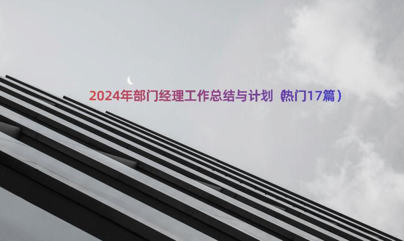 2024年部门经理工作总结与计划（热门17篇）