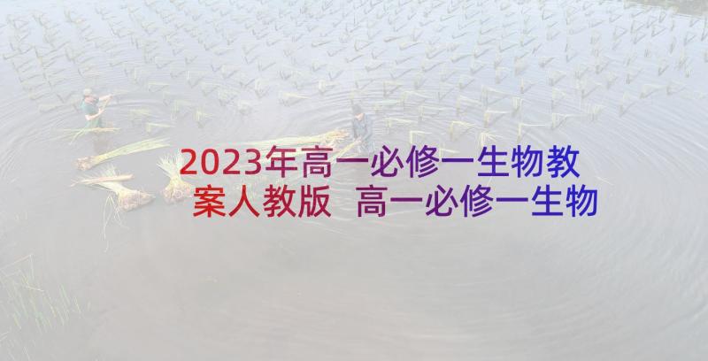 2023年高一必修一生物教案人教版 高一必修一生物教案(大全7篇)