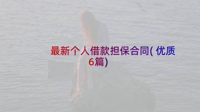 最新个人借款担保合同(优质6篇)