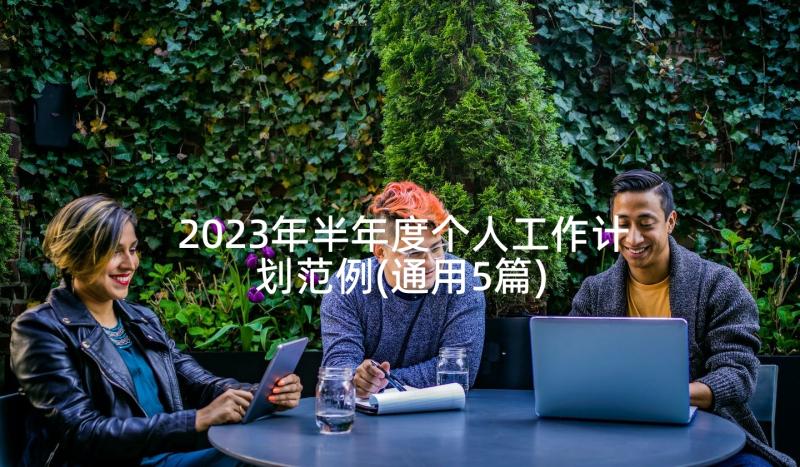 2023年半年度个人工作计划范例(通用5篇)