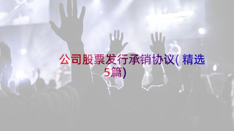 公司股票发行承销协议(精选5篇)