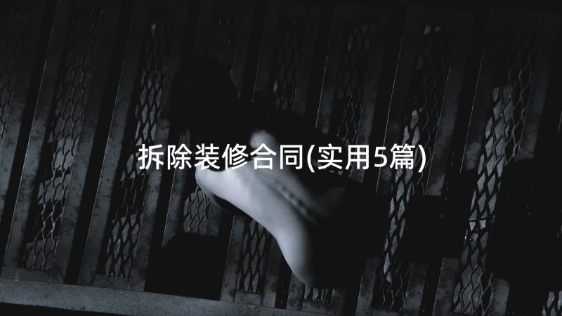 拆除装修合同(实用5篇)