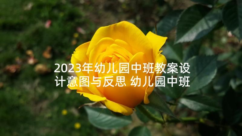 2023年幼儿园中班教案设计意图与反思 幼儿园中班语言教案设计方案(实用5篇)