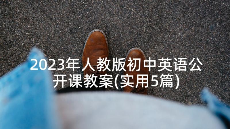 2023年人教版初中英语公开课教案(实用5篇)