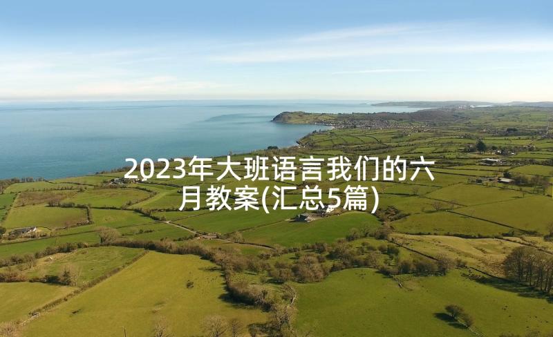 2023年大班语言我们的六月教案(汇总5篇)