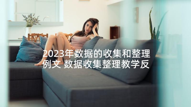 2023年数据的收集和整理例文 数据收集整理教学反思(汇总5篇)