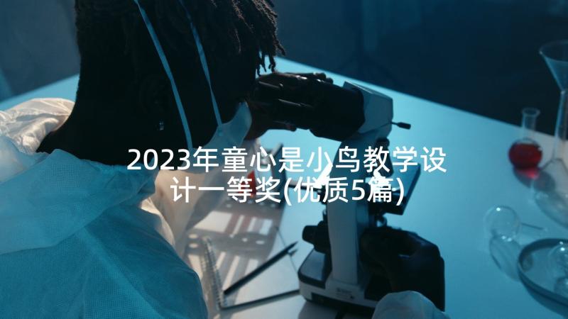 2023年童心是小鸟教学设计一等奖(优质5篇)