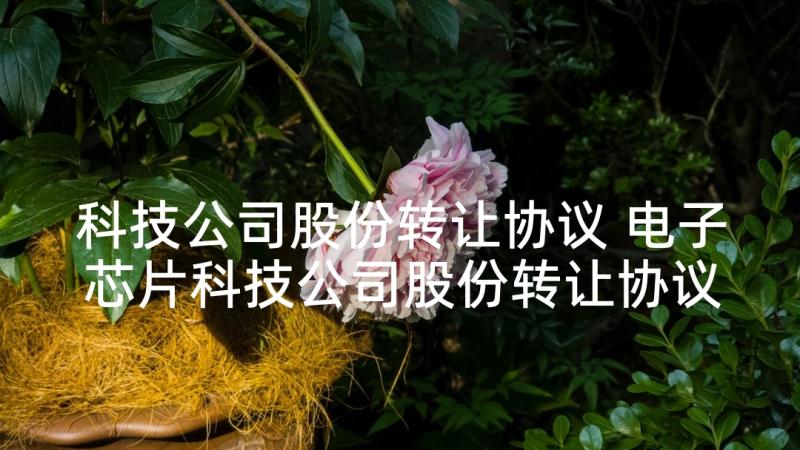 科技公司股份转让协议 电子芯片科技公司股份转让协议(汇总10篇)