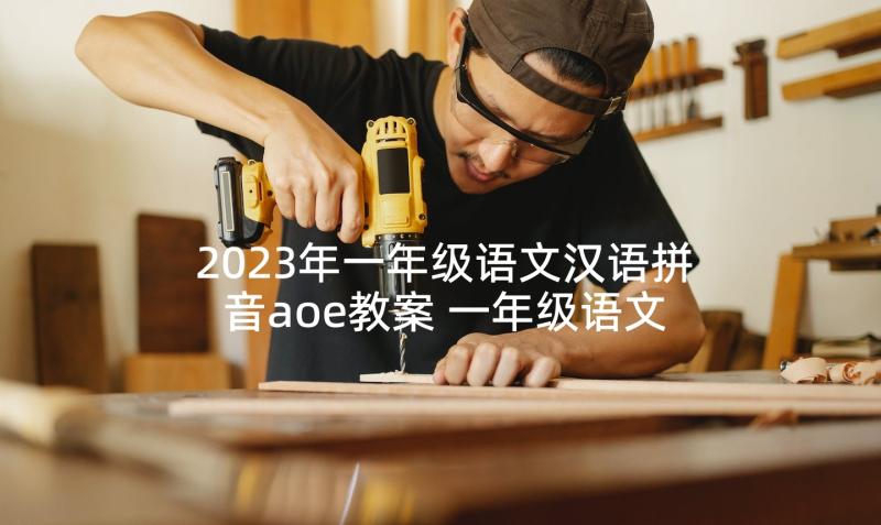 2023年一年级语文汉语拼音aoe教案 一年级语文汉语拼音教案(模板5篇)
