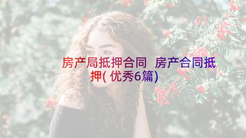 房产局抵押合同 房产合同抵押(优秀6篇)