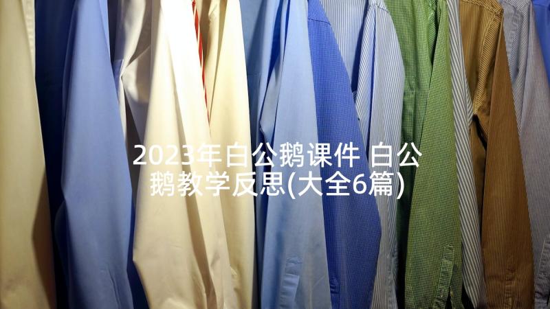 2023年白公鹅课件 白公鹅教学反思(大全6篇)