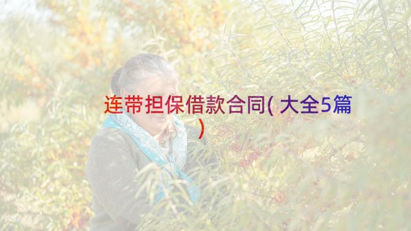 连带担保借款合同(大全5篇)