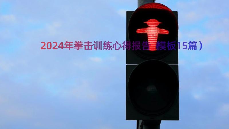 2024年拳击训练心得报告（模板15篇）