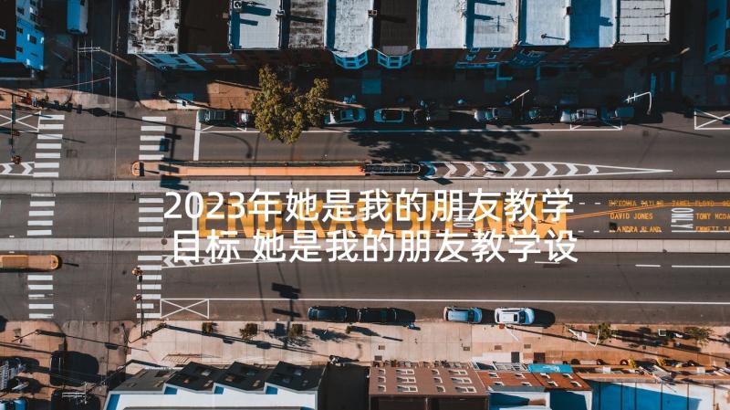 2023年她是我的朋友教学目标 她是我的朋友教学设计(优质6篇)