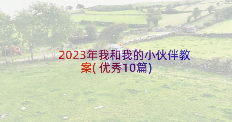 2023年我和我的小伙伴教案(优秀10篇)