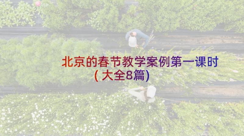 北京的春节教学案例第一课时(大全8篇)