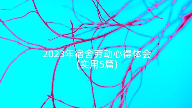 2023年宿舍劳动心得体会(实用5篇)