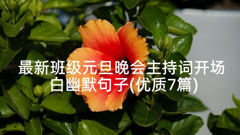 最新班级元旦晚会主持词开场白幽默句子(优质7篇)