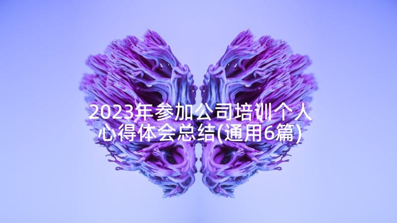 2023年参加公司培训个人心得体会总结(通用6篇)