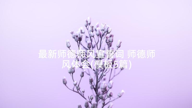 最新师德师风宣誓词 师德师风体会(模板5篇)