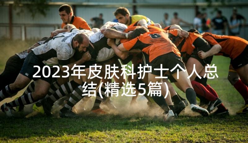 2023年皮肤科护士个人总结(精选5篇)