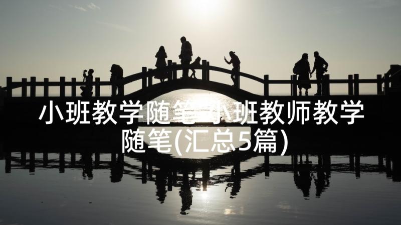 小班教学随笔 小班教师教学随笔(汇总5篇)