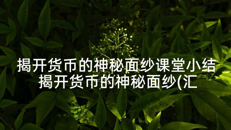 揭开货币的神秘面纱课堂小结 揭开货币的神秘面纱(汇总5篇)