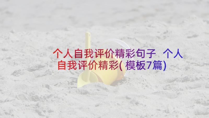 个人自我评价精彩句子 个人自我评价精彩(模板7篇)