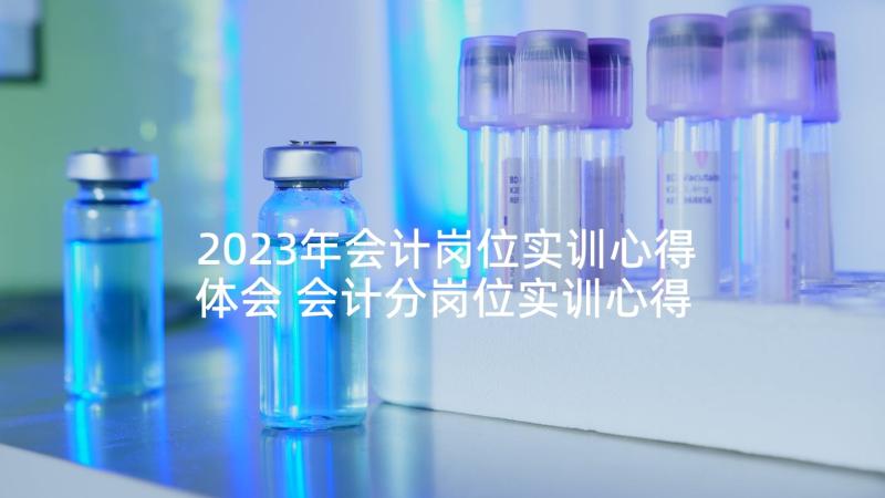 2023年会计岗位实训心得体会 会计分岗位实训心得体会(汇总5篇)