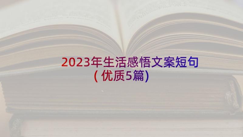 2023年生活感悟文案短句(优质5篇)