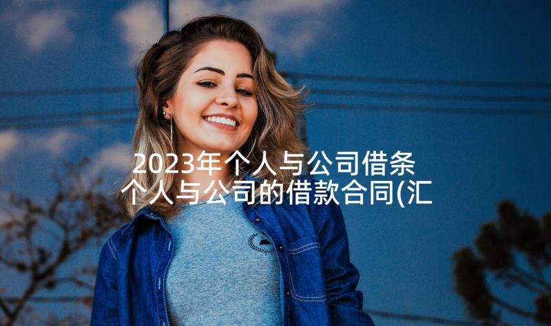 2023年个人与公司借条 个人与公司的借款合同(汇总5篇)