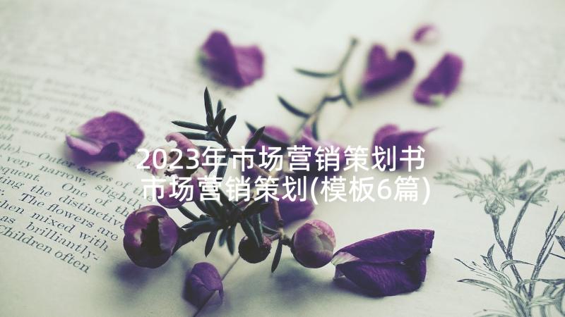 2023年市场营销策划书 市场营销策划(模板6篇)