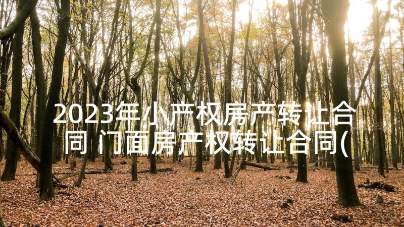 2023年小产权房产转让合同 门面房产权转让合同(精选8篇)