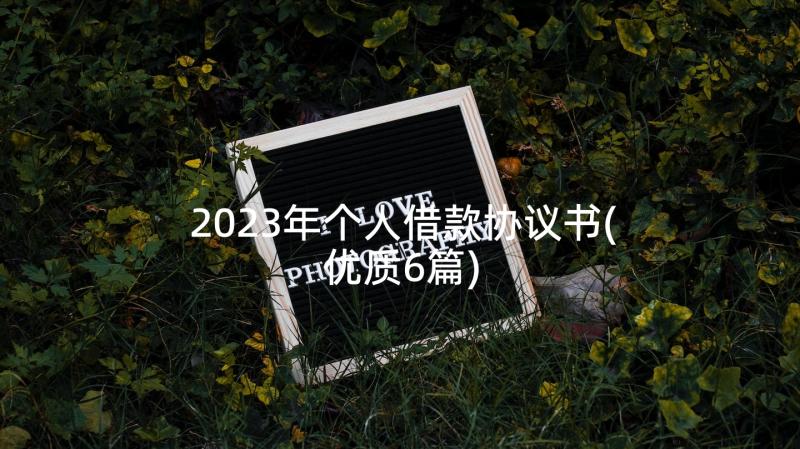 2023年个人借款协议书(优质6篇)