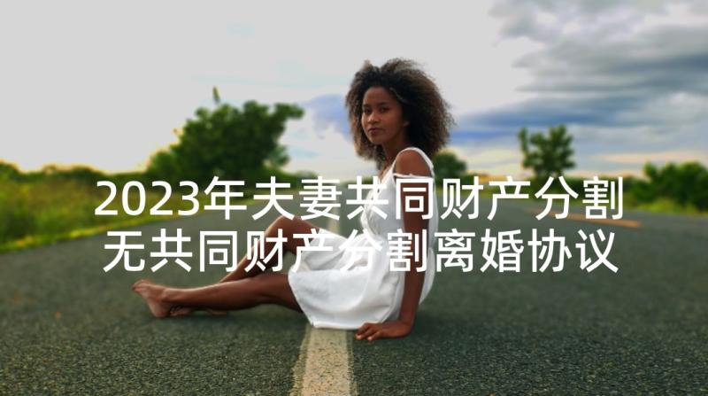 2023年夫妻共同财产分割 无共同财产分割离婚协议书(汇总5篇)