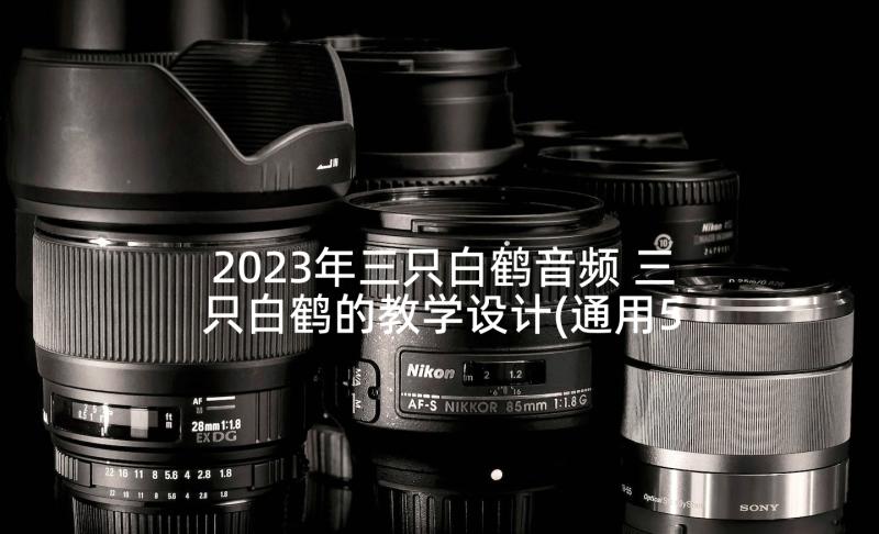 2023年三只白鹤音频 三只白鹤的教学设计(通用5篇)