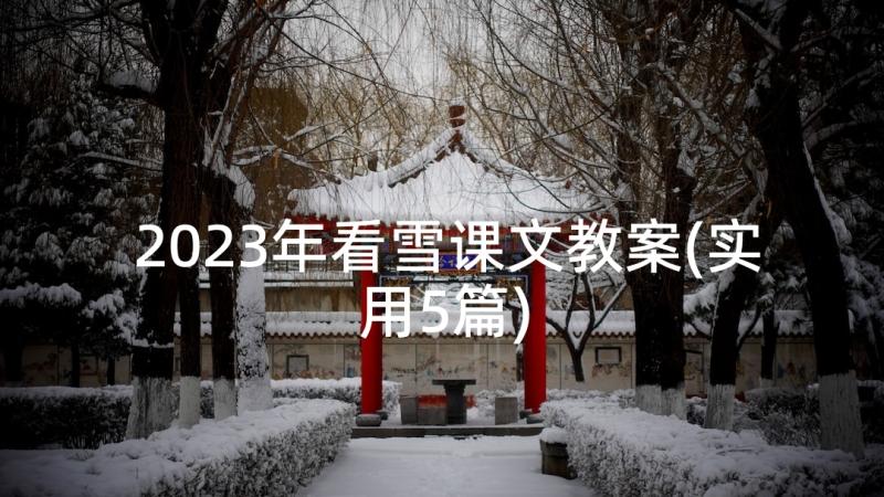 2023年看雪课文教案(实用5篇)