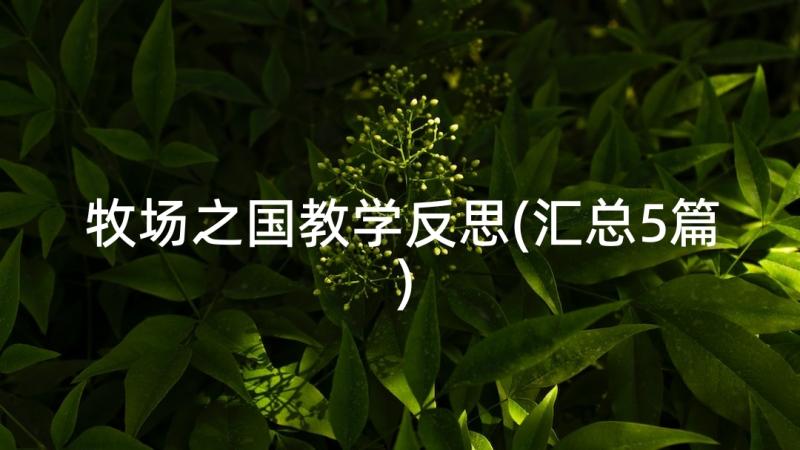 牧场之国教学反思(汇总5篇)