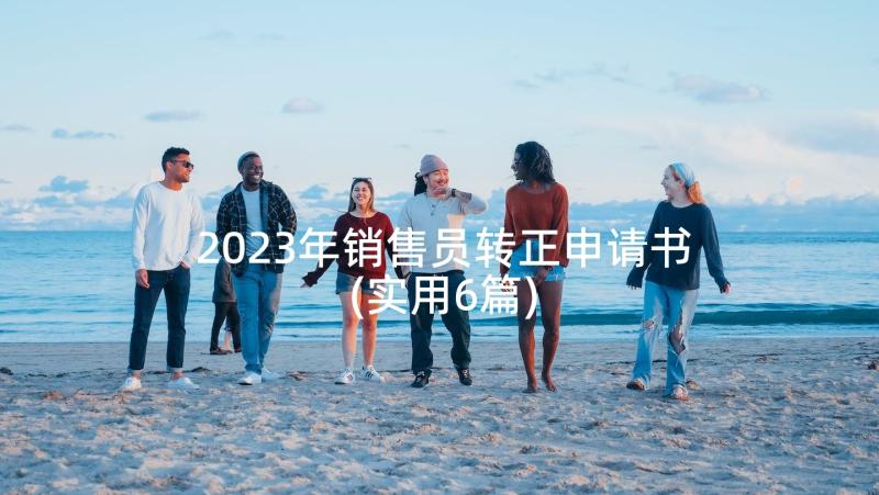 2023年销售员转正申请书(实用6篇)