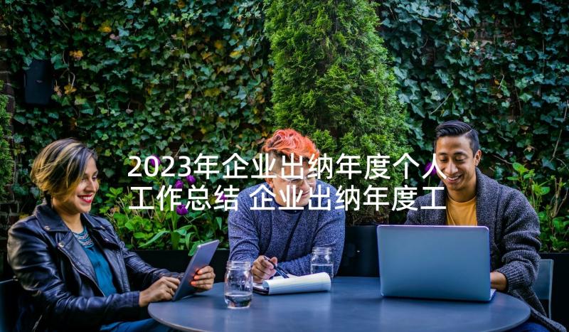 2023年企业出纳年度个人工作总结 企业出纳年度工作总结(模板7篇)