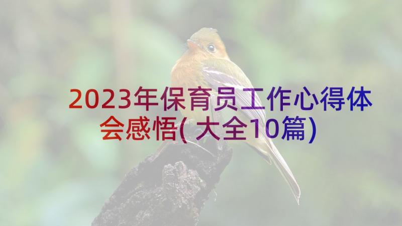 2023年保育员工作心得体会感悟(大全10篇)