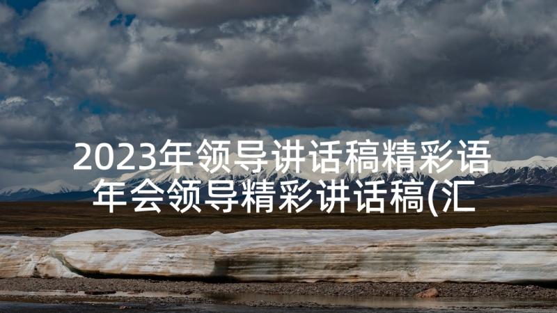 2023年领导讲话稿精彩语 年会领导精彩讲话稿(汇总8篇)