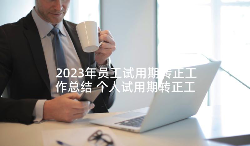 2023年员工试用期转正工作总结 个人试用期转正工作总结试用期工作总结(优秀9篇)