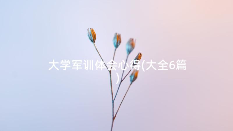 大学军训体会心得(大全6篇)