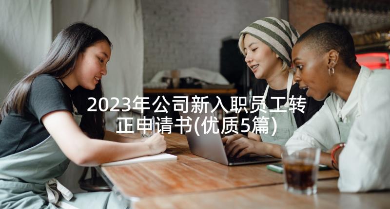 2023年公司新入职员工转正申请书(优质5篇)