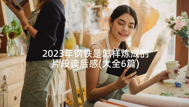 2023年钢铁是怎样炼成的片段读后感(大全6篇)