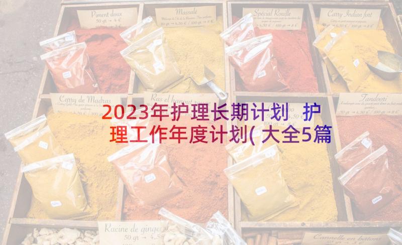 2023年护理长期计划 护理工作年度计划(大全5篇)