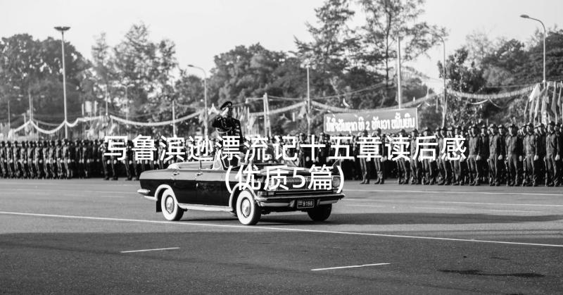 写鲁滨逊漂流记十五章读后感(优质5篇)